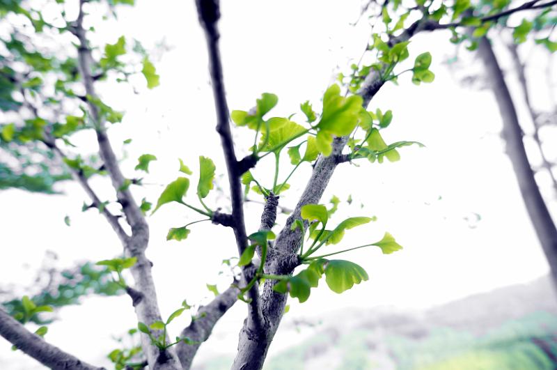 2013 06 15 A
